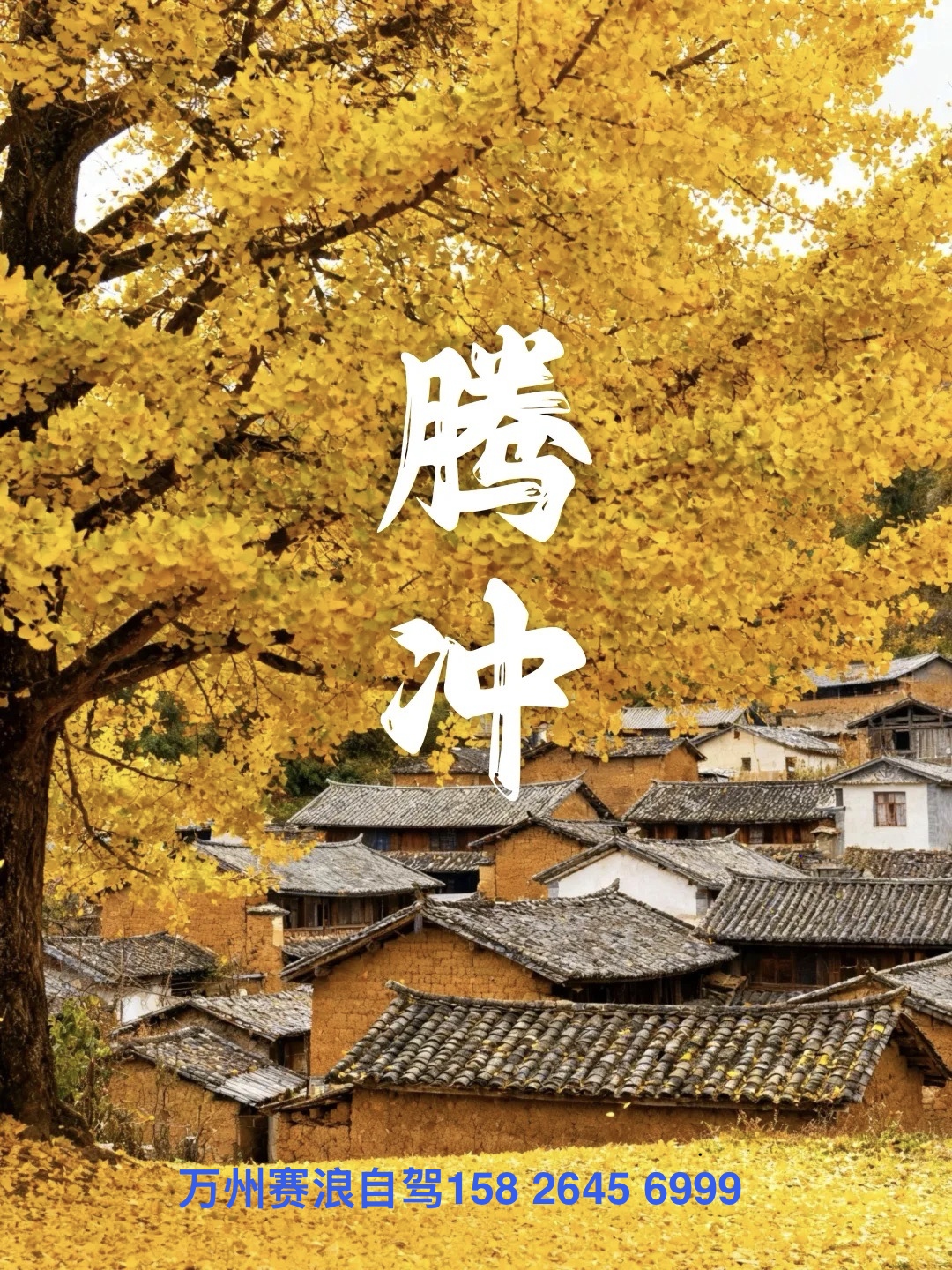 云南深秋10日行 赏腾冲银杏、逛和顺古镇🌋火山地热地质公园、中缅边境小城~瑞丽、💖浪漫柔情大理洱海、5A景区腾冲热海泡温泉、🏝东南亚风情城市~芒市