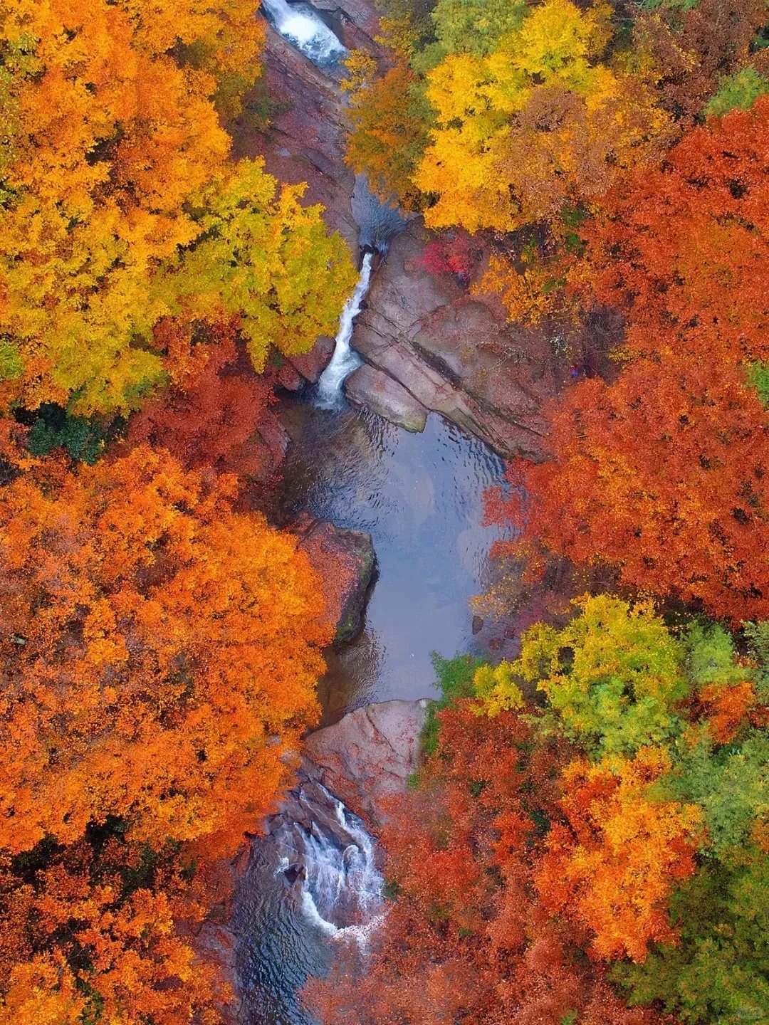 秘境金秋—穿越秦巴古道3日自驾/拼车   重庆万州赛浪自驾游