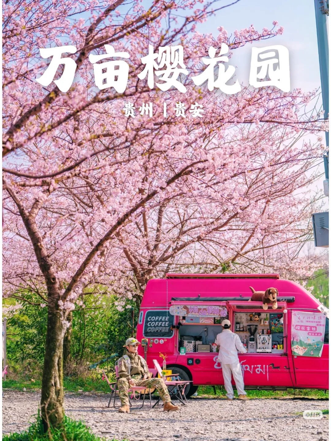 【平坝樱花&乌江寨 3自驾/拼车】 全球最大樱花园 最美贵州乌江寨